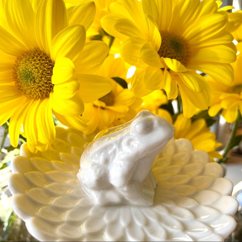 Ceramic Frog on a Lilly Pad•NWOT•Jewelry/Trinket Dish•Ivory•3.5” x 3.5” x 2”🌼
